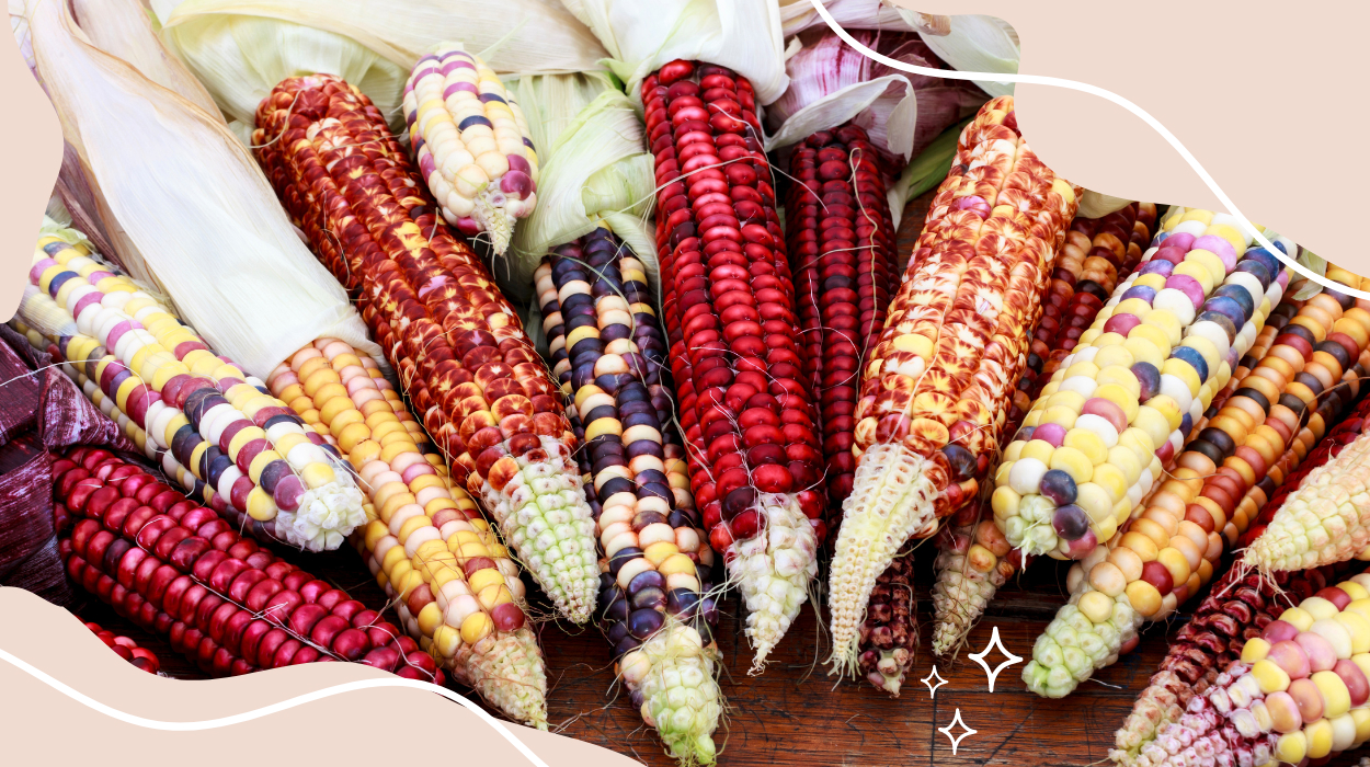 is corn gluten free