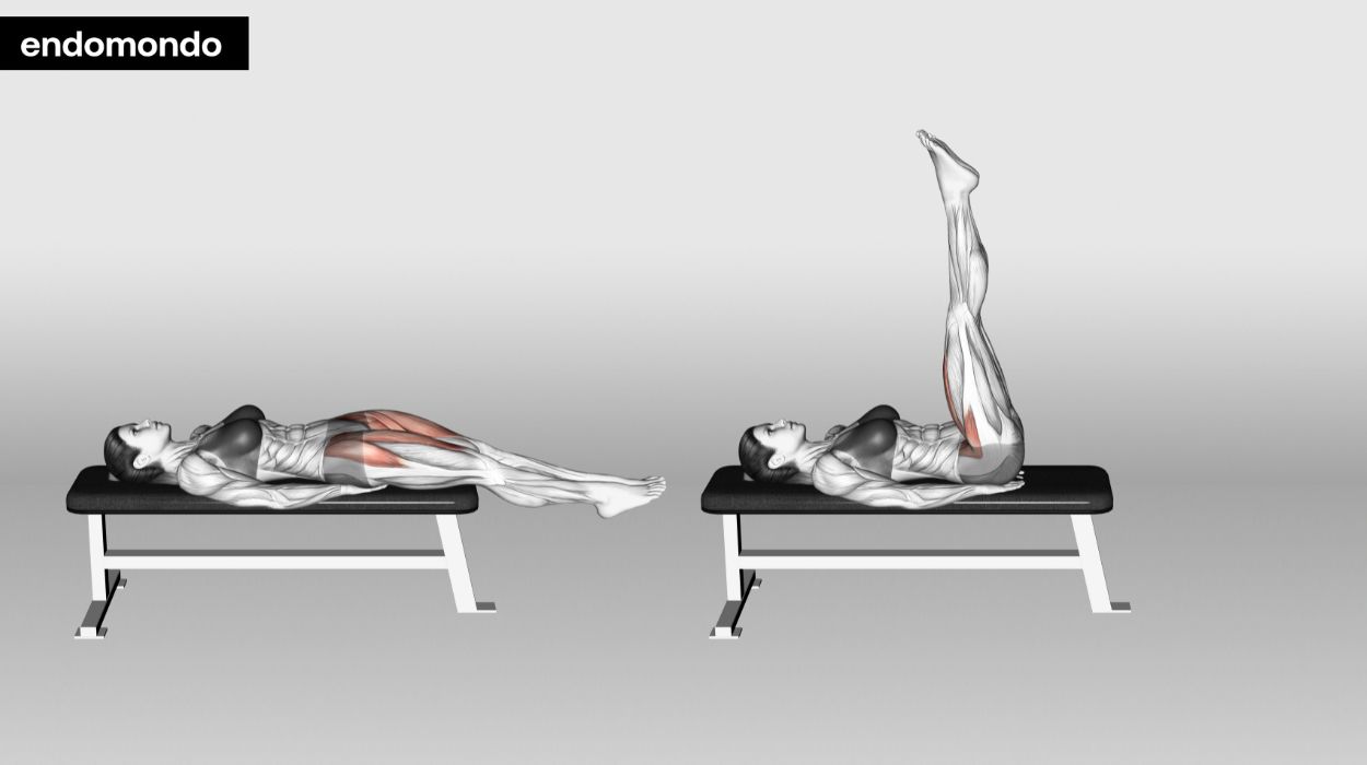 Supported Leg Lifts