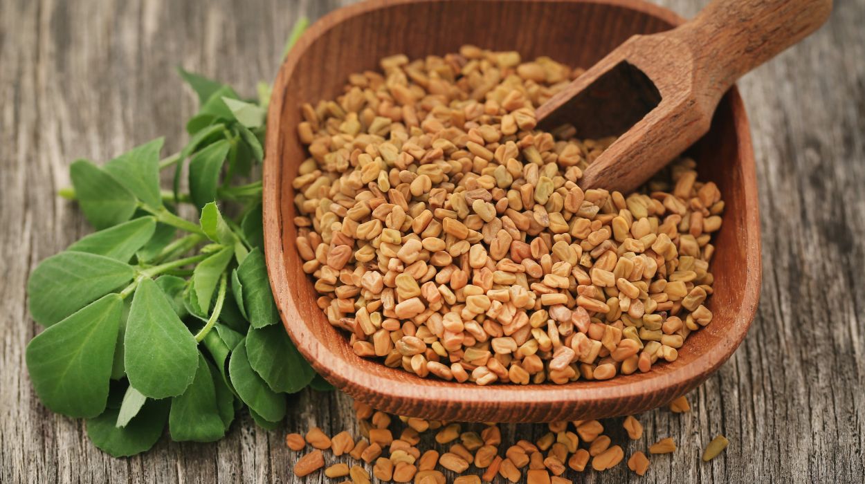 fenugreek seeds for hair